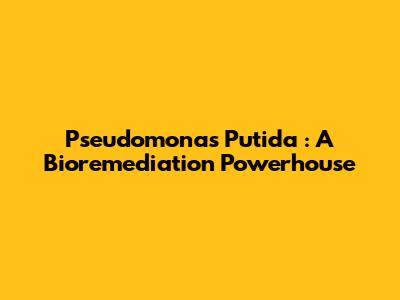 *Pseudomonas Putida*: A Bioremediation Powerhouse