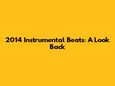 2014 Instrumental Beats: A Look Back