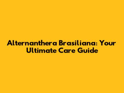 Alternanthera Brasiliana: Your Ultimate Care Guide