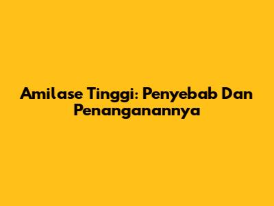 Amilase Tinggi: Penyebab Dan Penanganannya
