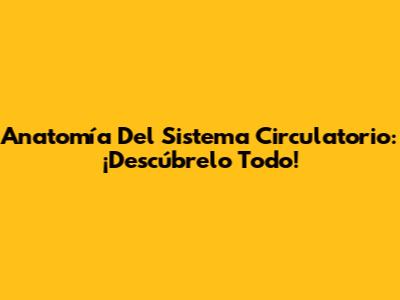 Anatomía Del Sistema Circulatorio: ¡Descúbrelo Todo!