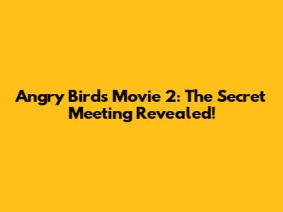 Angry Birds Movie 2: The Secret Meeting Revealed!