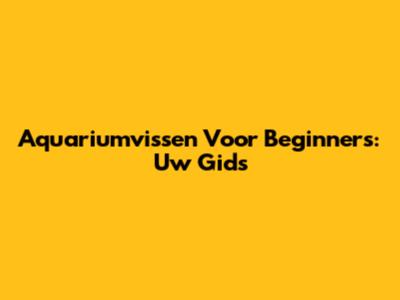 Aquariumvissen Voor Beginners: Uw Gids