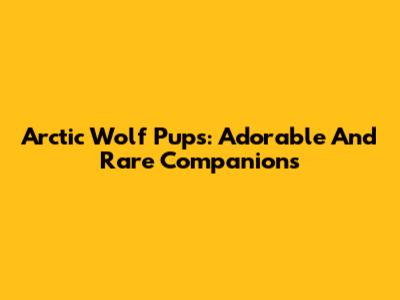 Arctic Wolf Pups: Adorable And Rare Companions