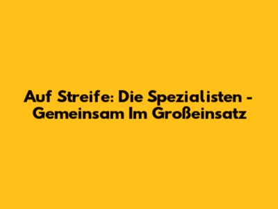 Auf Streife: Die Spezialisten - Gemeinsam Im Großeinsatz