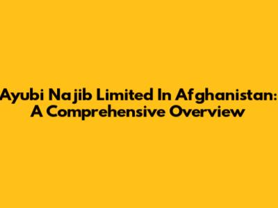 Ayubi Najib Limited In Afghanistan: A Comprehensive Overview
