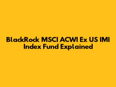 BlackRock MSCI ACWI Ex US IMI Index Fund Explained
