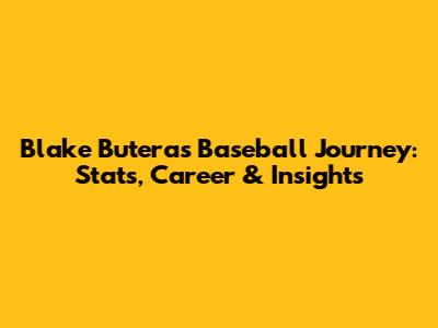 Blake Butera's Baseball Journey: Stats, Career & Insights