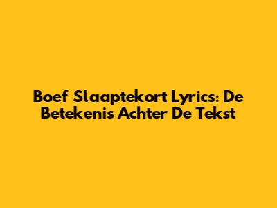 Boef Slaaptekort Lyrics: De Betekenis Achter De Tekst
