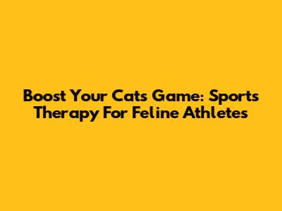 Boost Your Cat's Game: Sports Therapy For Feline Athletes