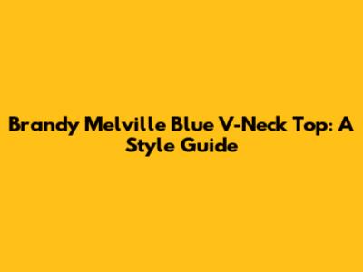Brandy Melville Blue V-Neck Top: A Style Guide