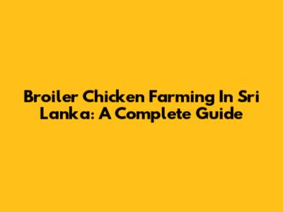 Broiler Chicken Farming In Sri Lanka: A Complete Guide