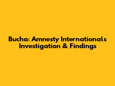 Bucha: Amnesty International's Investigation & Findings