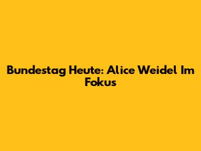 Bundestag Heute: Alice Weidel Im Fokus