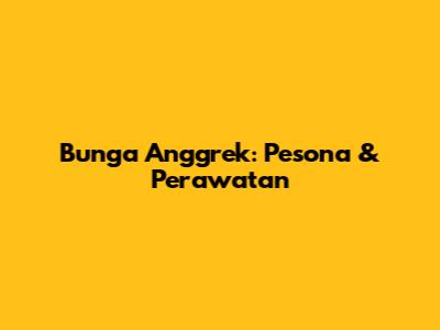 Bunga Anggrek: Pesona & Perawatan