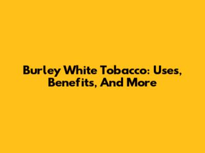 Burley White Tobacco: Uses, Benefits, And More