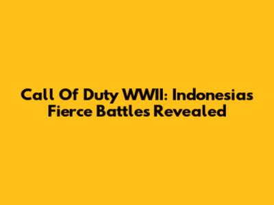 Call Of Duty WWII: Indonesia's Fierce Battles Revealed