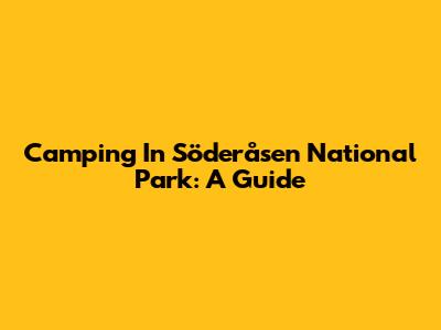 Camping In Söderåsen National Park: A Guide