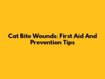 Cat Bite Wounds: First Aid And Prevention Tips