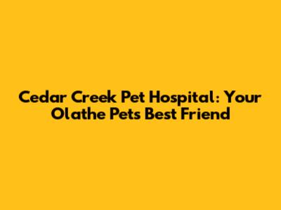Cedar Creek Pet Hospital: Your Olathe Pet's Best Friend