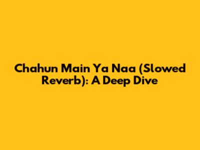 Chahun Main Ya Naa (Slowed Reverb): A Deep Dive