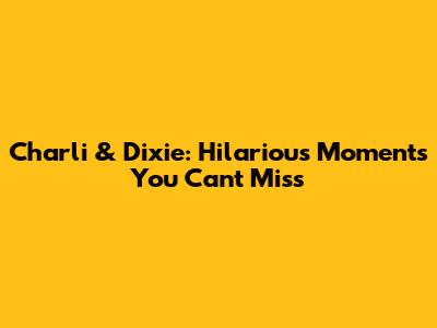 Charli & Dixie: Hilarious Moments You Can't Miss