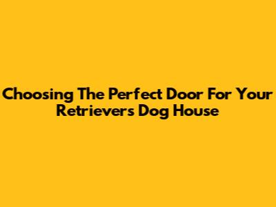 Choosing The Perfect Door For Your Retriever's Dog House