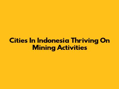Cities In Indonesia Thriving On Mining Activities