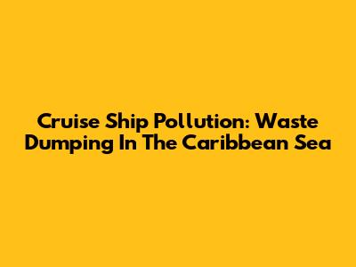 Cruise Ship Pollution: Waste Dumping In The Caribbean Sea