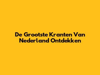 De Grootste Kranten Van Nederland Ontdekken