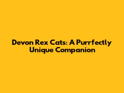 Devon Rex Cats: A Purrfectly Unique Companion