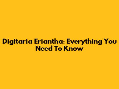 Digitaria Eriantha: Everything You Need To Know