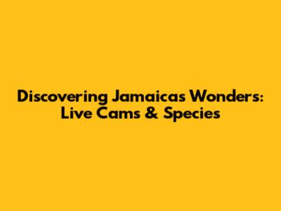 Discovering Jamaica's Wonders: Live Cams & Species