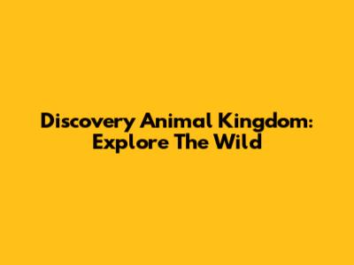 Discovery Animal Kingdom: Explore The Wild