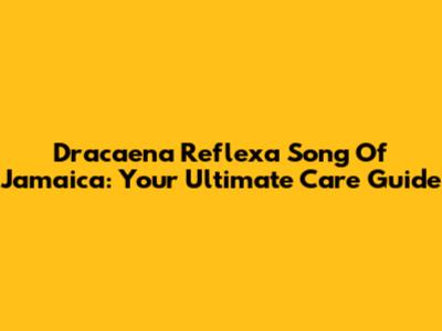 Dracaena Reflexa Song Of Jamaica: Your Ultimate Care Guide