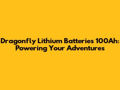 Dragonfly Lithium Batteries 100Ah: Powering Your Adventures