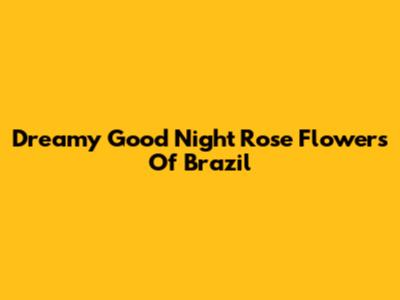 Dreamy Good Night Rose Flowers Of Brazil