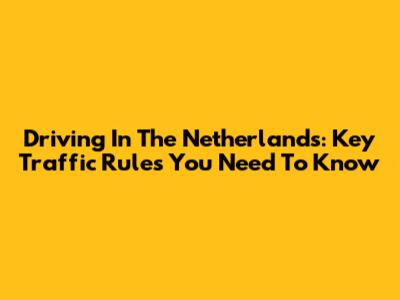 Driving In The Netherlands: Key Traffic Rules You Need To Know