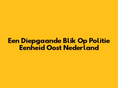 Een Diepgaande Blik Op Politie Eenheid Oost Nederland