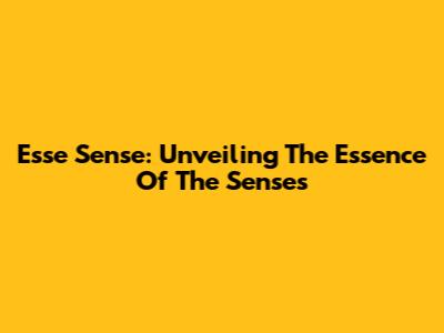 Esse Sense: Unveiling The Essence Of The Senses