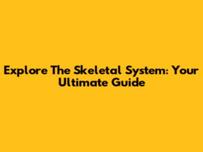 Explore The Skeletal System: Your Ultimate Guide