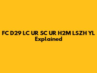 FC D29 LC UR SC UR H2M LSZH YL Explained