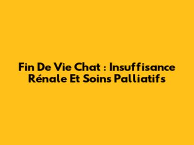 Fin De Vie Chat : Insuffisance Rénale Et Soins Palliatifs
