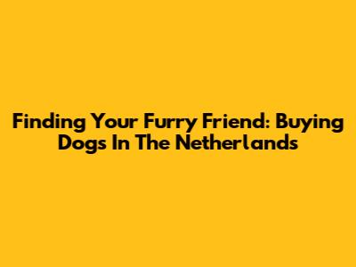 Finding Your Furry Friend: Buying Dogs In The Netherlands