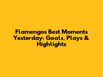 Flamengo's Best Moments Yesterday: Goals, Plays & Highlights