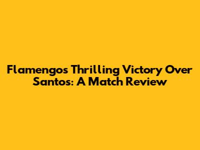 Flamengo's Thrilling Victory Over Santos: A Match Review