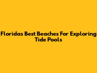 Florida's Best Beaches For Exploring Tide Pools