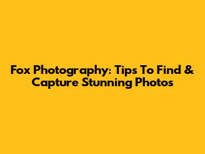 Fox Photography: Tips To Find & Capture Stunning Photos