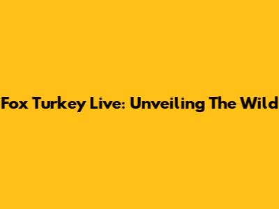 Fox Turkey Live: Unveiling The Wild