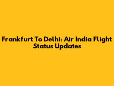 Frankfurt To Delhi: Air India Flight Status Updates
